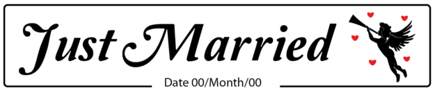 Just Married Cupid Wedding Number Plate