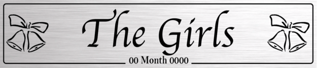 The Girls Silver - Wedding Number Plate