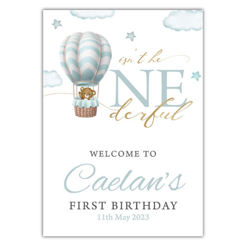 Onederful Birthday -  Hot Air Balloon