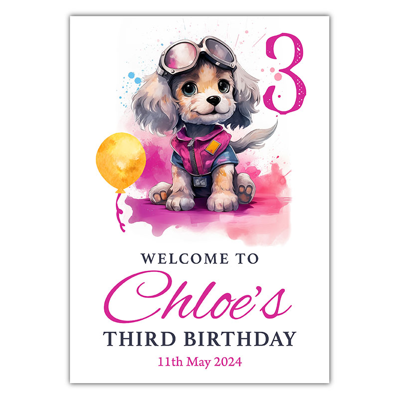 Birthday Welcome - The Aviation Pup