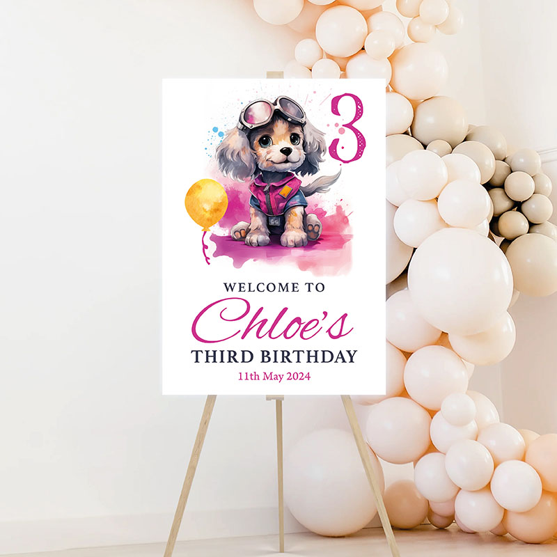 Birthday Welcome - The Aviation Pup - Image 2
